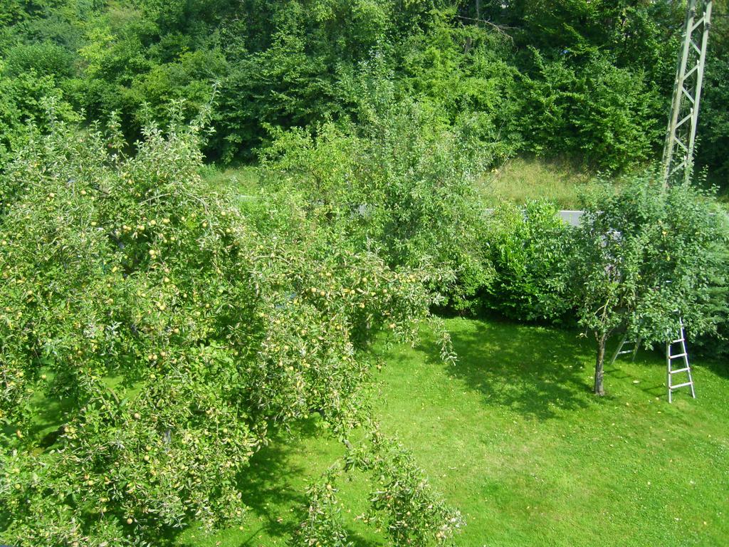 Ferienwohnung Leichlingen Oda fotoğraf